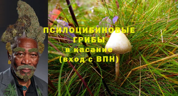 молекула духа Зеленокумск