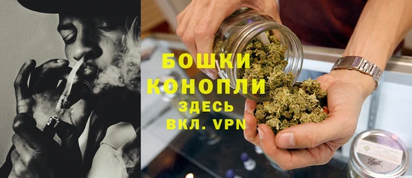 молекула духа Зеленокумск