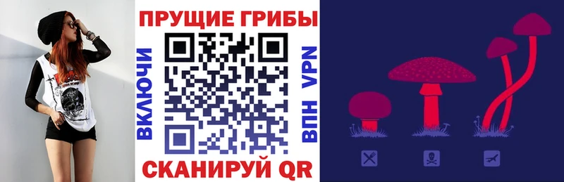 купить наркоту  Полесск  Галлюциногенные грибы прущие грибы 